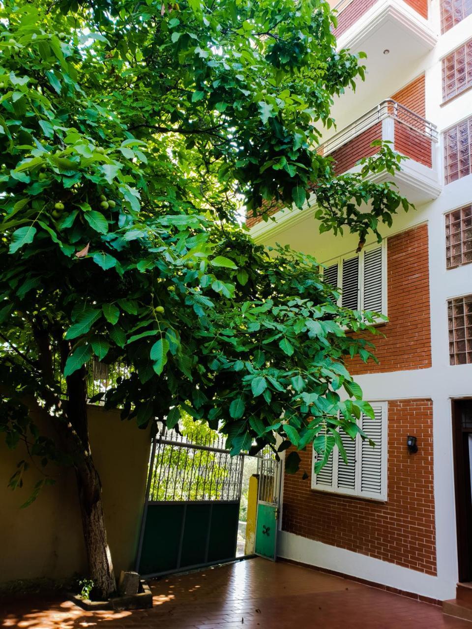 Lux Apartments Vlorë エクステリア 写真